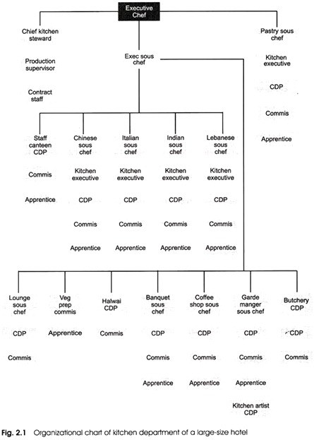 Kitchen Organization Chart
 Organizational Structure of the Kitchen