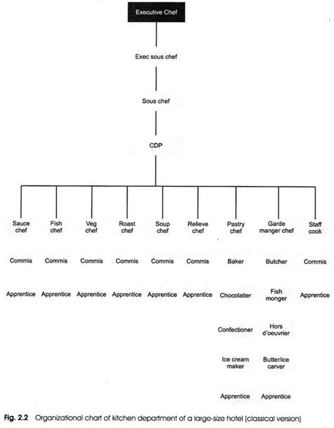 Kitchen Organization Chart
 Organizational Structure of the Kitchen