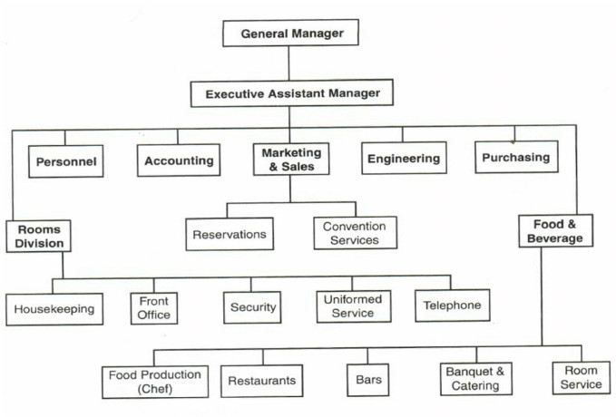 Kitchen Organization Chart
 Typical hotel organization chart showing the GM’s position