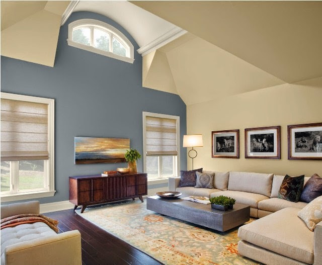 Living Room Paint Color
 Paint Color Ideas for Living Room Accent Wall
