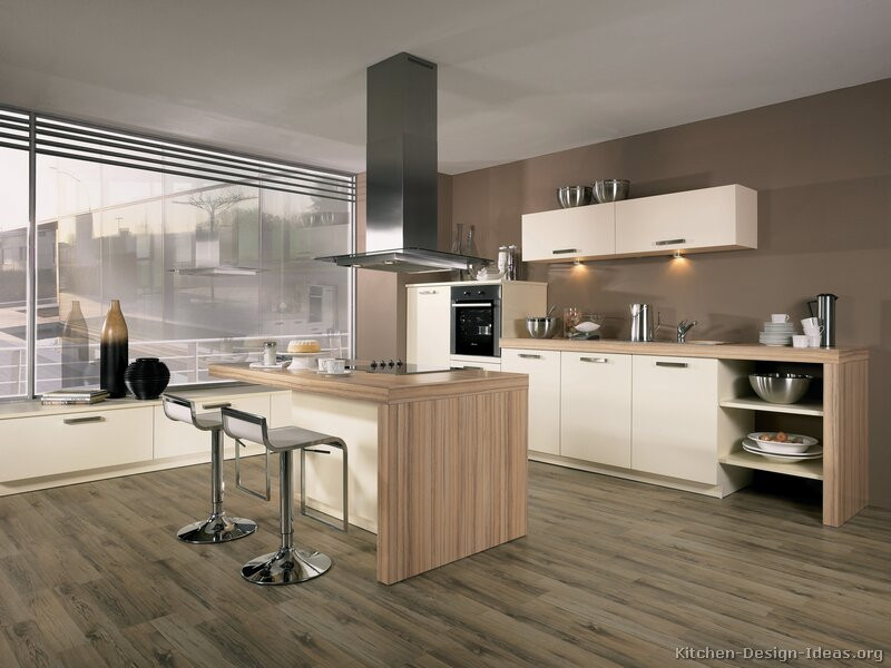Modern Kitchen Cabinet Ideas
 of Kitchens – Style Modern Kitchen Design