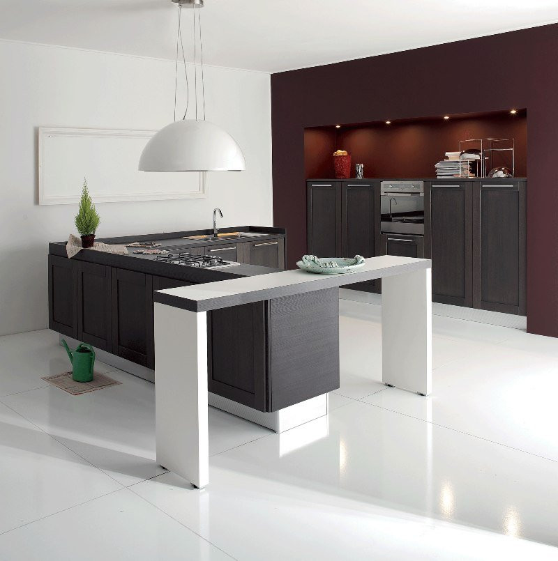 Modern Kitchen Cabinet Ideas
 Cheap Modern Kitchen Cabinets Home Furniture Design