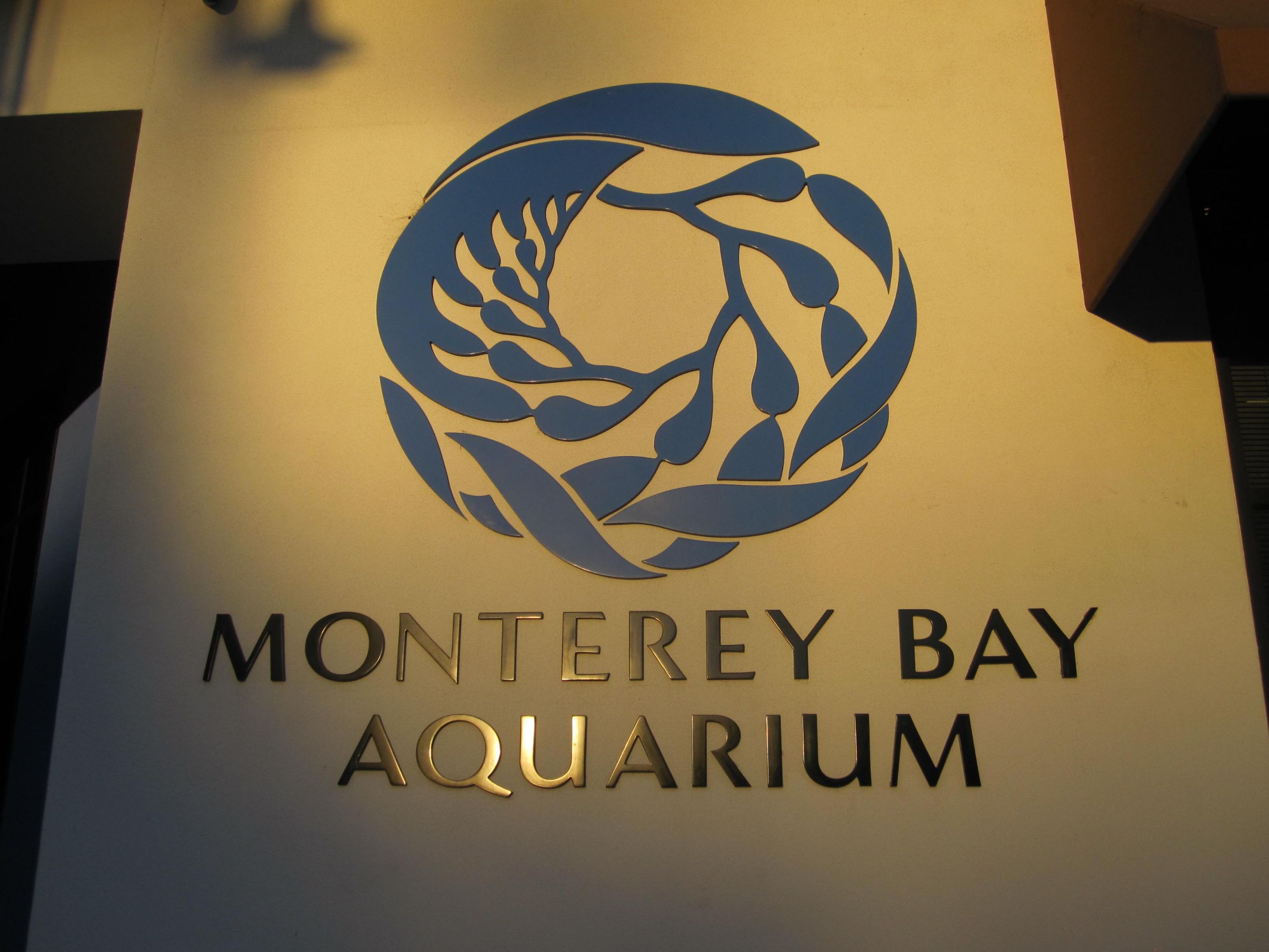Monterey Bay Aquarium Thanksgiving
 Pumpkin Pancakes & Monterey Bay
