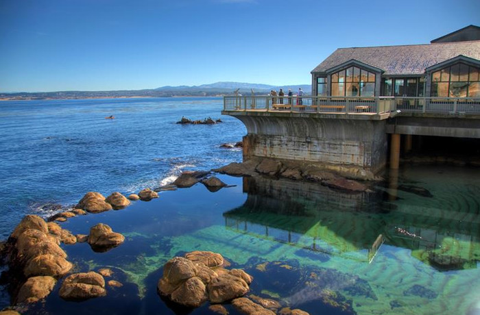 Monterey Bay Aquarium Thanksgiving
 Architecture We re Thankful For