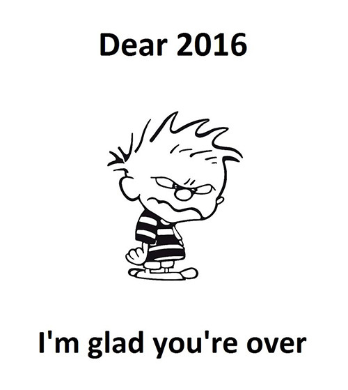 New Year Sarcastic Quotes
 25 Best Sarcastic & Funny New Year Quotes In English