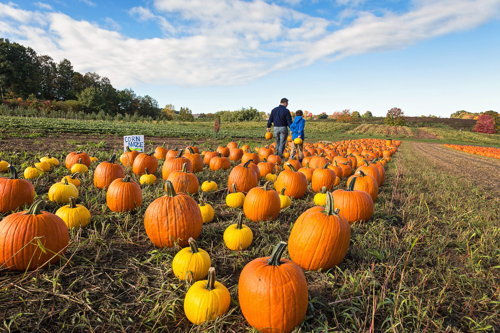 Outdoor Fall Activities
 10 outdoor activities that are perfect for fall