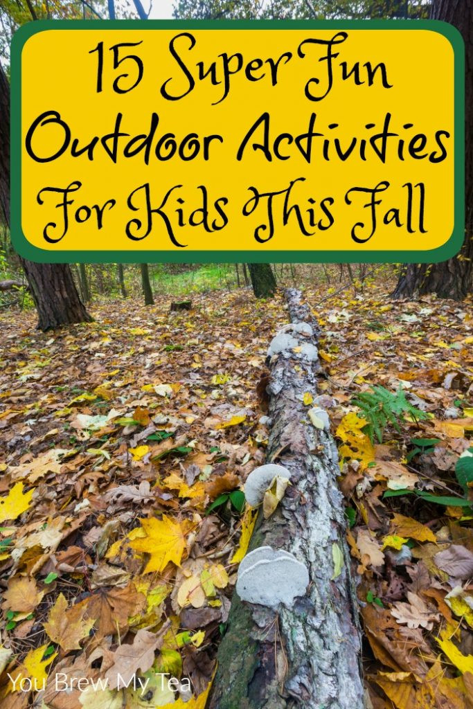 Outdoor Fall Activities
 15 Fun Outdoor Activities For Kids This Fall