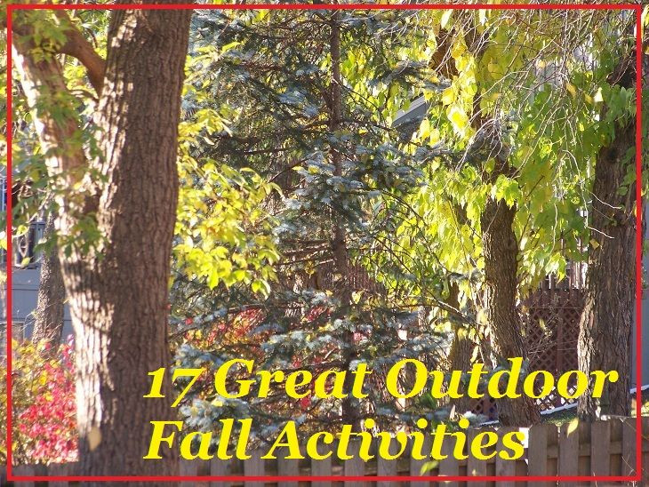 Outdoor Fall Activities
 172 best images about Fall outdoor fun on Pinterest