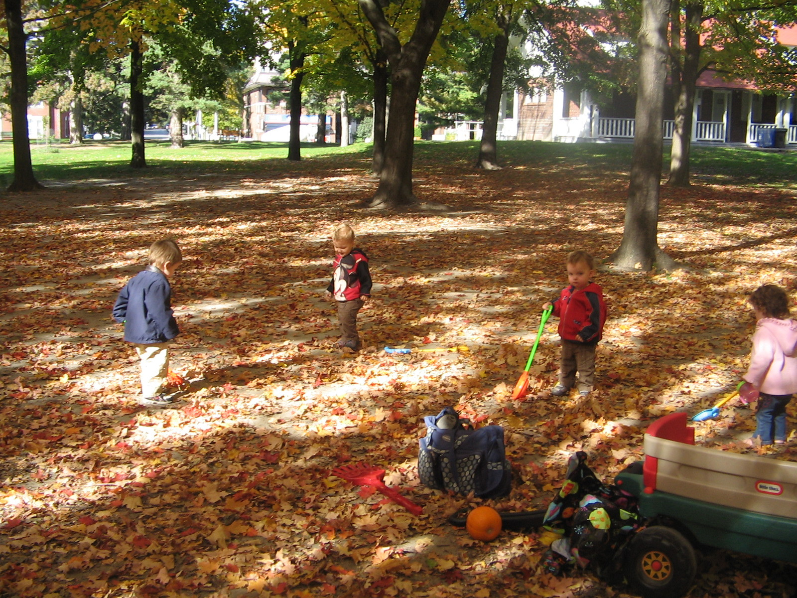 Outdoor Fall Activities
 High Park Home Daycare Simple Outdoor Fall Activities for