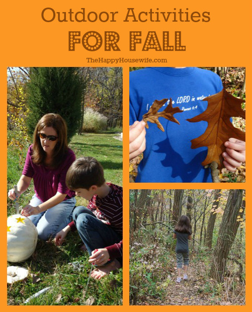 Outdoor Fall Activities
 Outdoor Activities for Fall