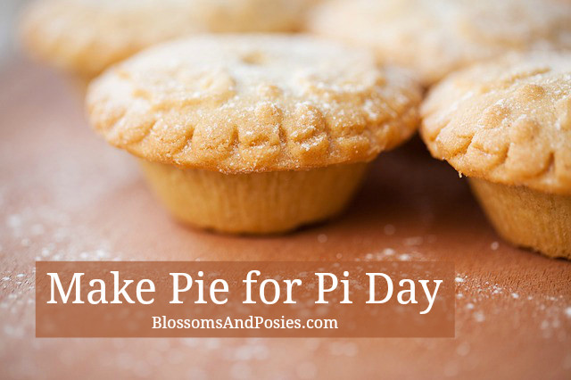 Pies For Pi Day Ideas
 Pi Day pie ideas blossomsandposies