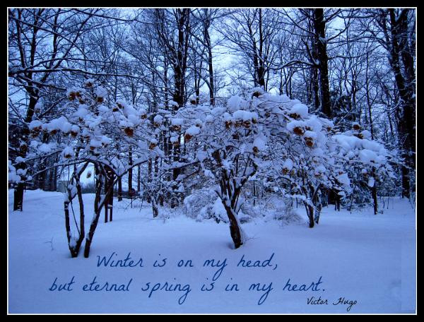 Positive Winter Quotes
 Beautiful Winter Quotes QuotesGram