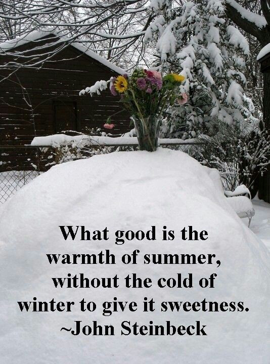 Positive Winter Quotes
 Winter quotes season sayings positive famous