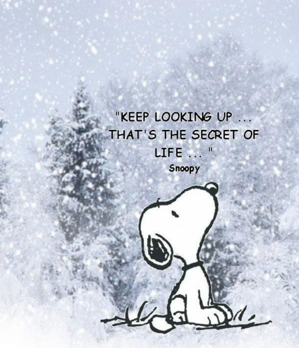 Positive Winter Quotes
 Winter quotes season sayings positive snoopy