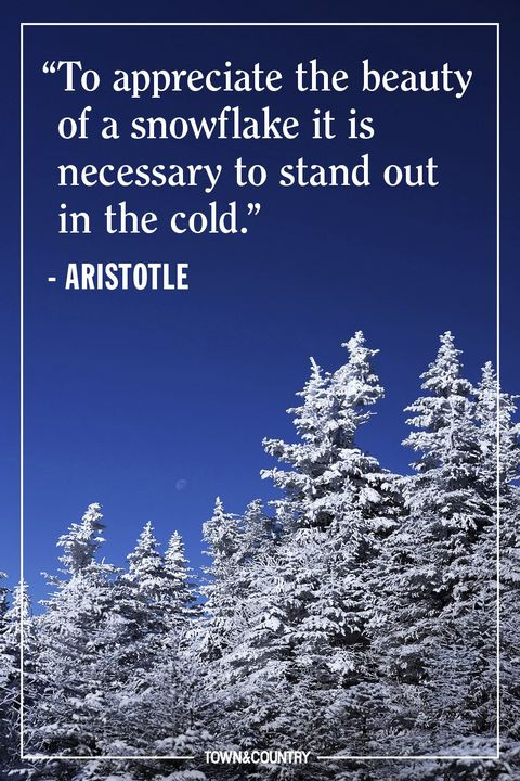 Positive Winter Quotes
 22 Best Winter Quotes Cute Sayings About Snow & The
