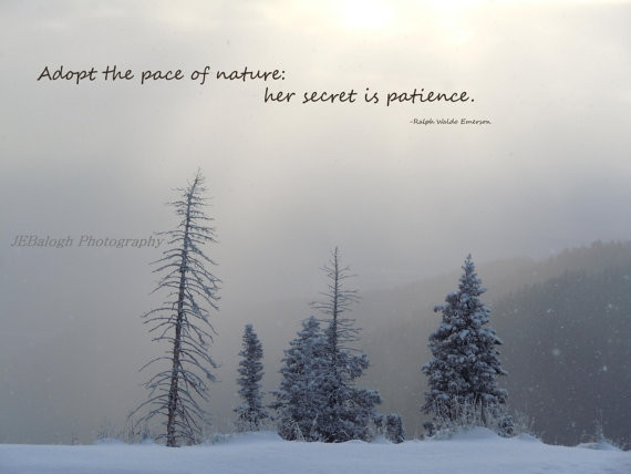 Positive Winter Quotes
 Winter Solstice Quotes Sayings QuotesGram