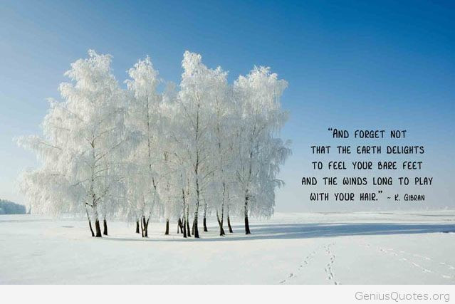 Positive Winter Quotes
 Winter Tree Quotes QuotesGram