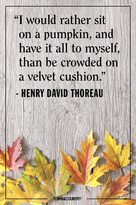 Quotes On Fall
 15 Inspiring Fall Quotes Best Quotes and Sayings About