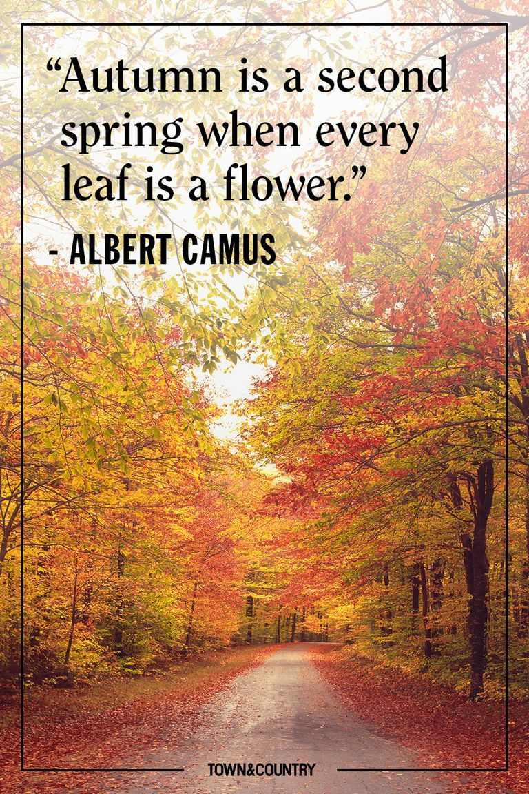Quotes On Fall
 12 Inspiring Fall Quotes Best Quotes and Sayings About
