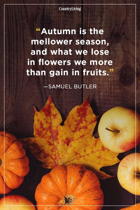 Quotes On Fall
 52 Fall Season Quotes Best Sayings About Autumn