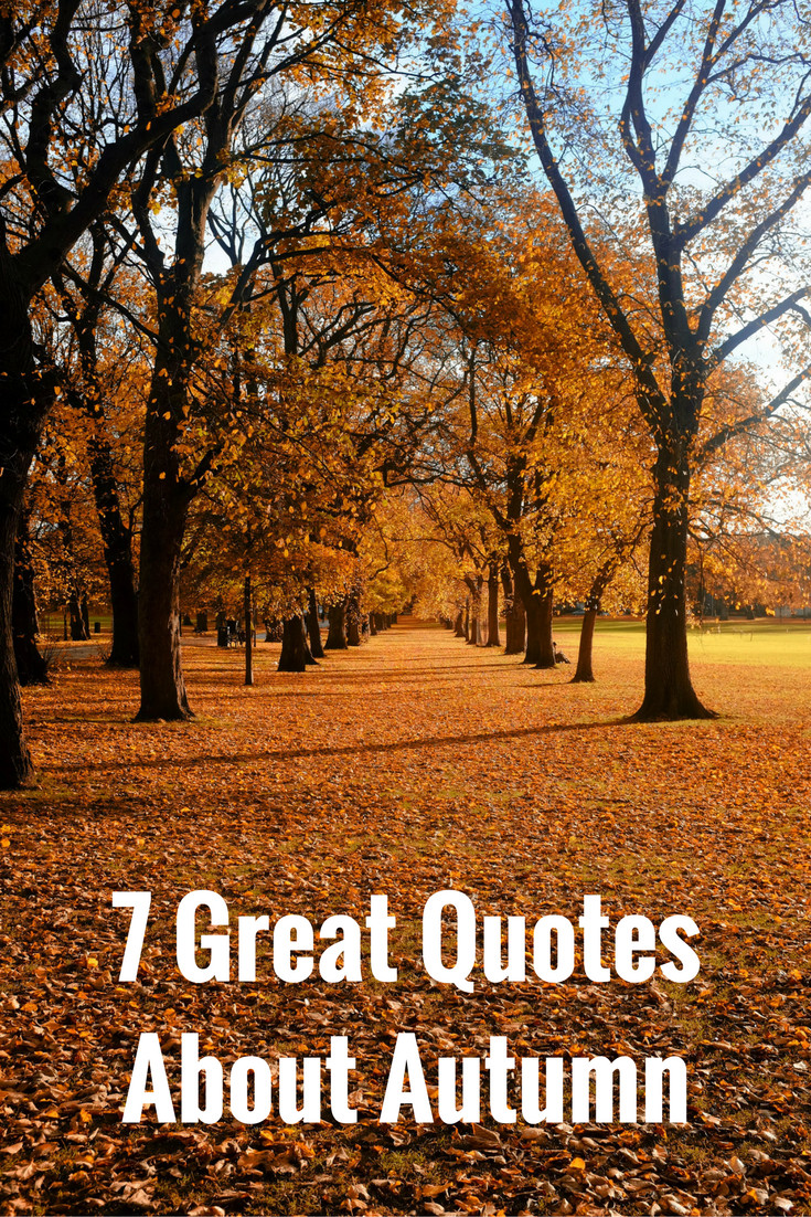 Quotes On Fall
 7 Great Quotes About Autumn
