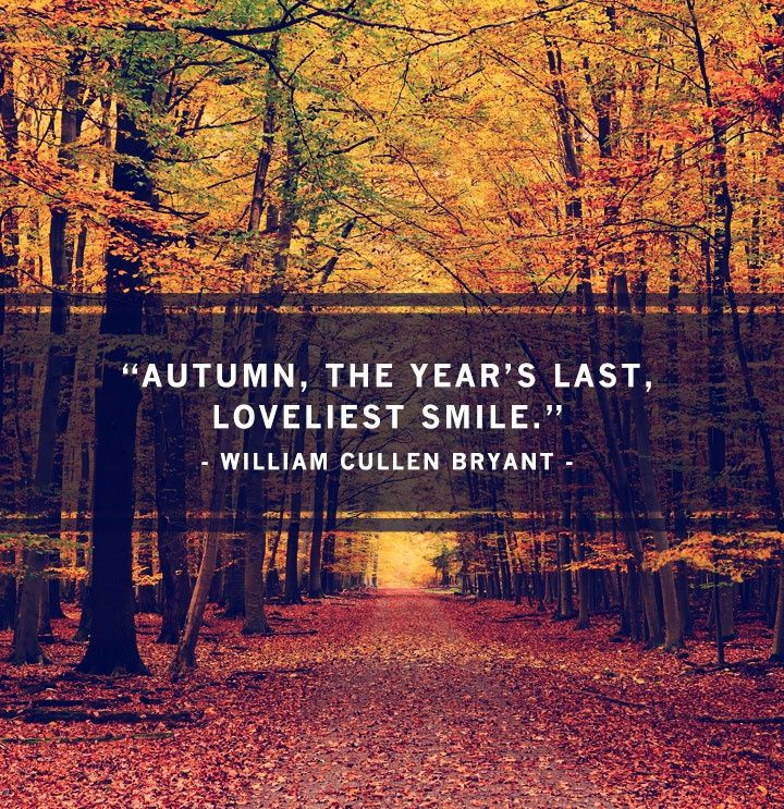 Quotes On Fall
 Funny Fall Quotes Autumn QuotesGram
