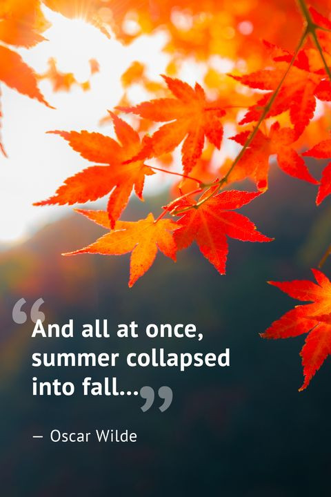 Quotes On Fall
 10 Beautiful Fall Quotes Best Sayings About Autumn