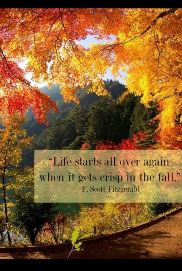 Quotes On Fall
 Fall Quotes Autumn QuotesGram