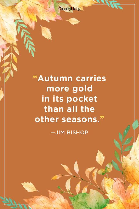 Quotes On Fall
 52 Fall Season Quotes Best Sayings About Autumn