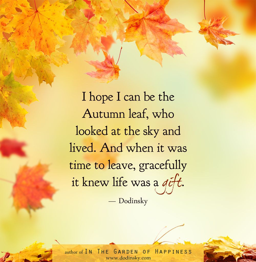 Quotes On Fall
 5 Quotes About Autumn That Capture the Season Perfectly