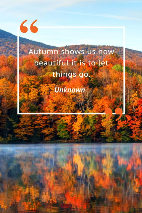 Quotes On Fall
 Favorite Fall Quotes
