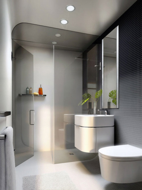 Small Bathroom Shower Ideas
 Small Bathroom Decorating Ideas