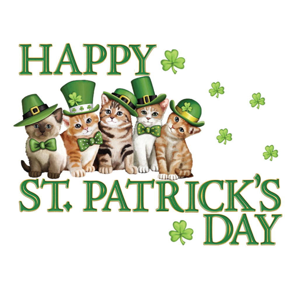St. Patrick's Day Party
 Collections Etc St Patrick s Day Irish Cats Garage Magnet Set