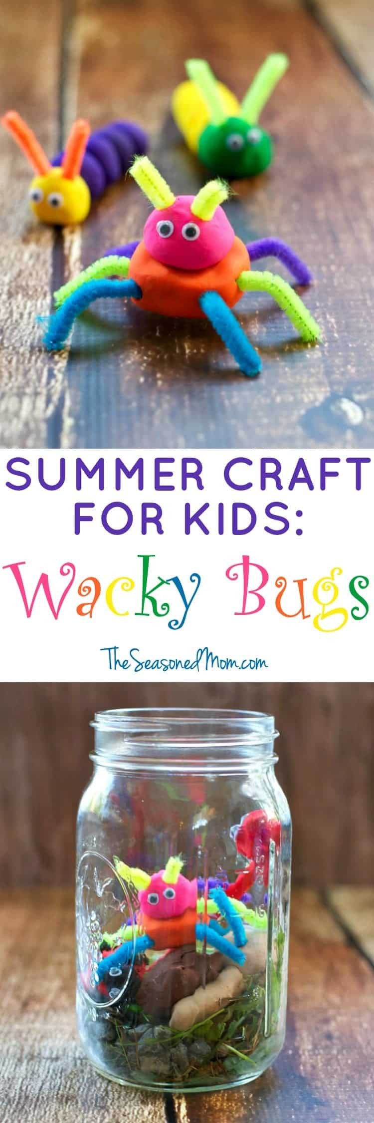 Summer Fun Craft
 Summer Craft for Kids Wacky Bugs The Seasoned Mom