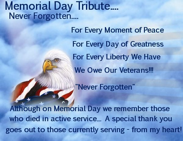 Thank You Memorial Day Quotes
 Memorial Day Thank You Veterans