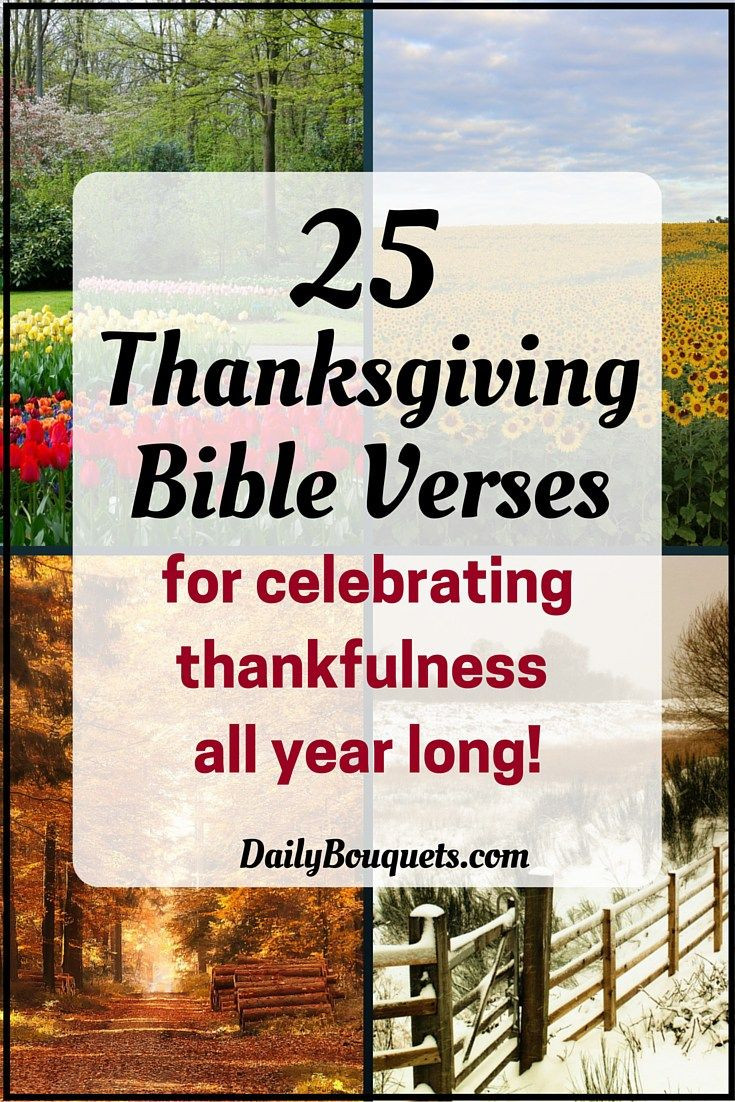 Thanksgiving Biblical Quotes
 Pin on Best of Daily Bouquets Blog