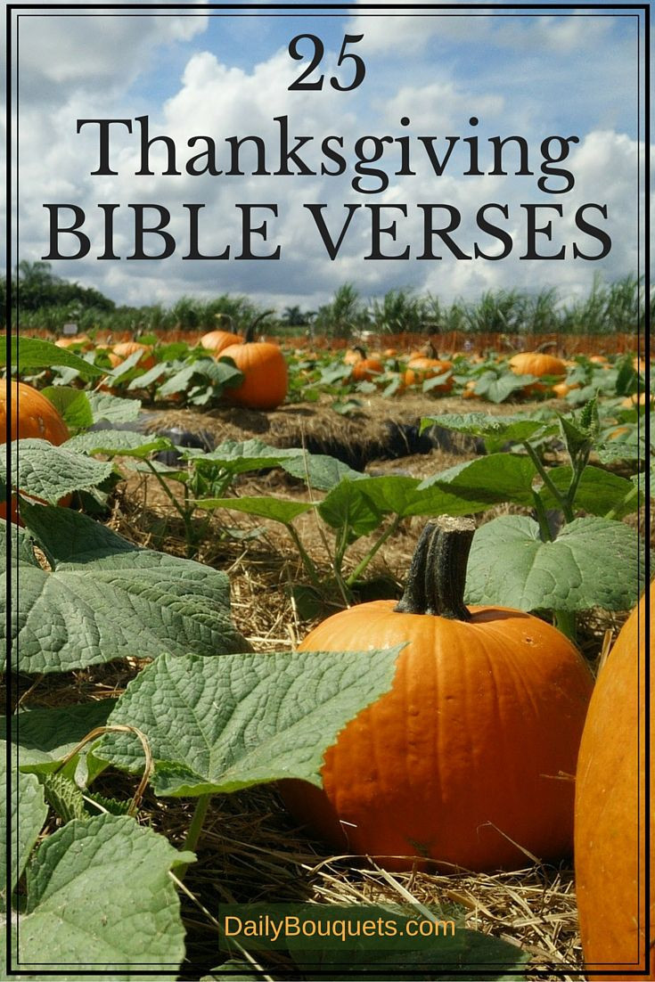 Thanksgiving Biblical Quotes
 Best 25 Thanksgiving verses ideas on Pinterest