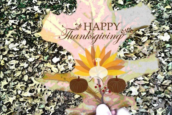 Thanksgiving Graphic Design
 The Top 10 Design from the Thanksgiving Day Card Graphic