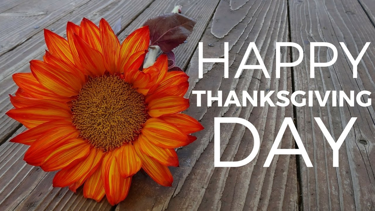 Thanksgiving Images And Quotes
 Best Wishes For Thanksgiving Day