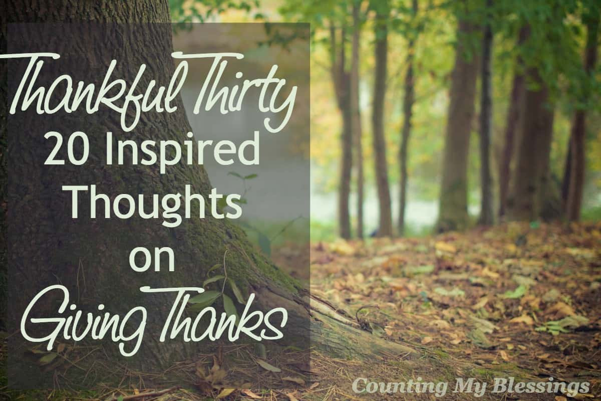 Thanksgiving Quotes To God
 Thankful Thirty – 20 Inspired Thoughts on Giving Thanks