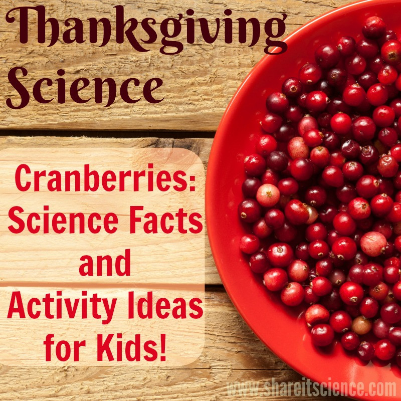 Thanksgiving Science Activities
 it Science Thanksgiving Tidbit Cranberry Science