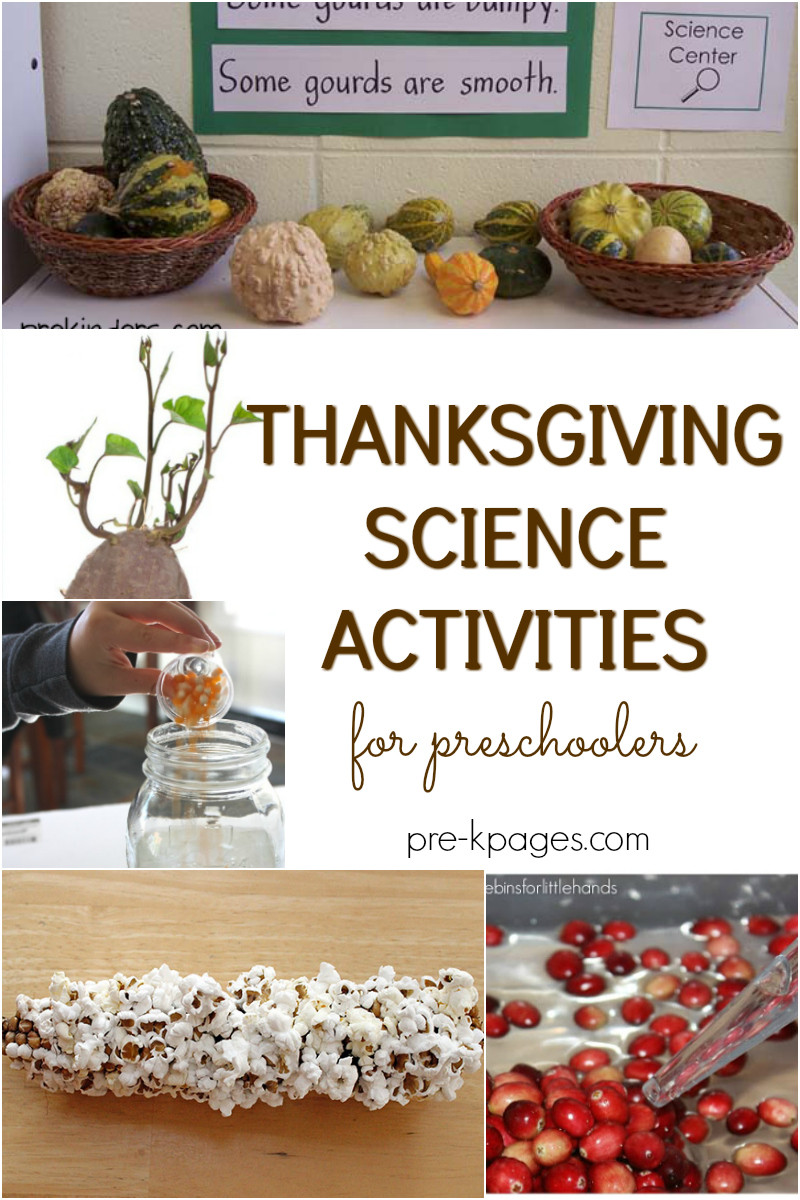 Thanksgiving Science Activities
 Thanksgiving Science Activities for Preschoolers Pre K Pages