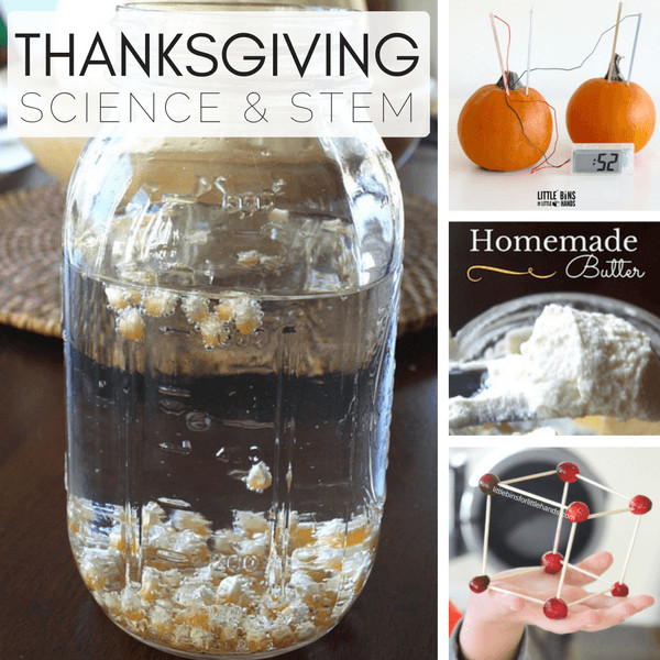 Thanksgiving Science Activities
 Halloween Candy Science Activities And Experiments For