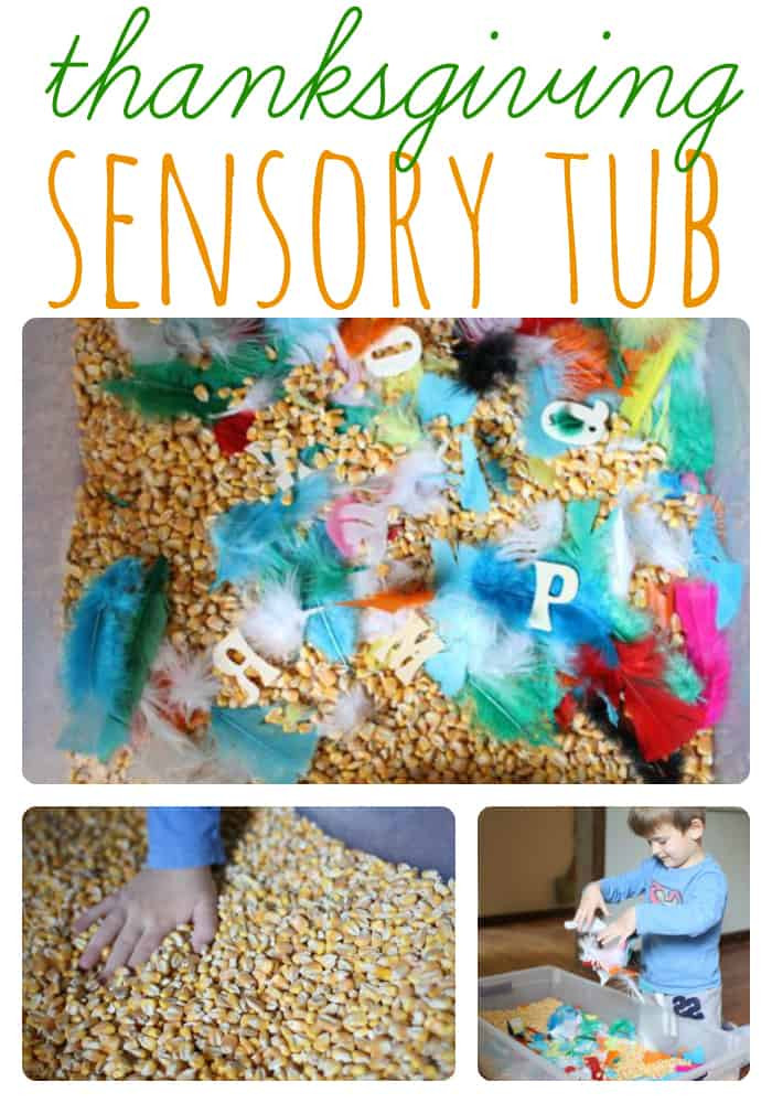 Thanksgiving Science Activities
 Thanksgiving Sensory Tub for Preschoolers I Can Teach My