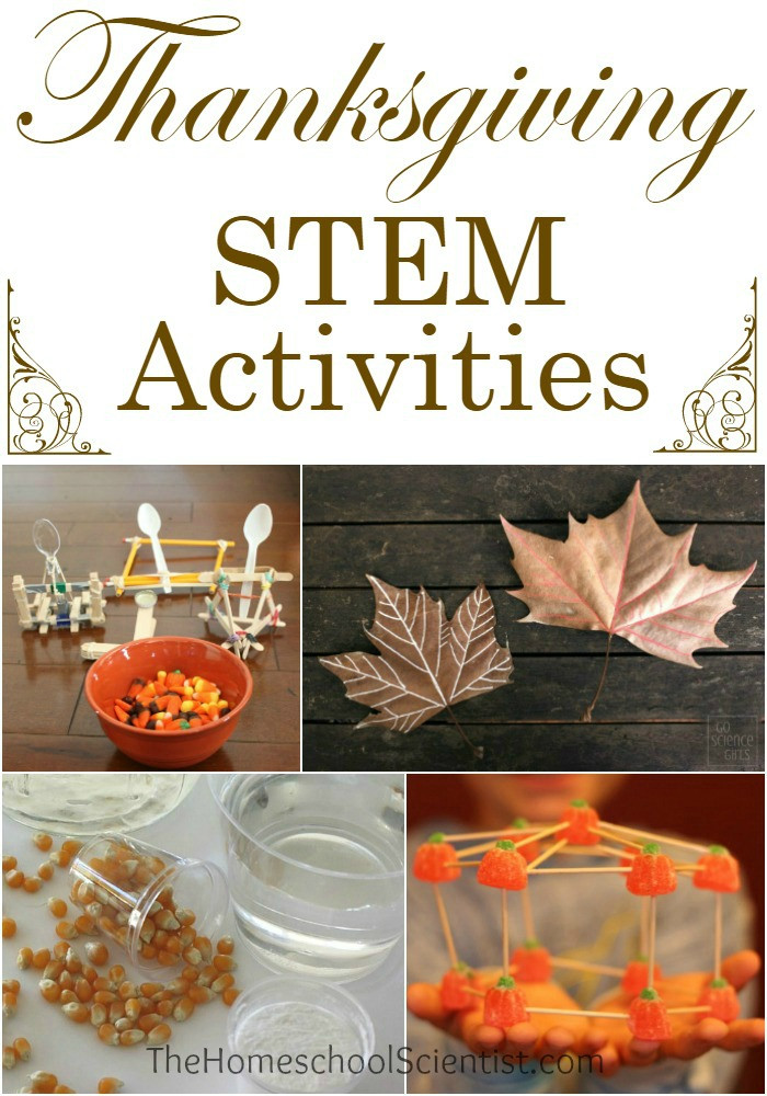 Thanksgiving Science Activities
 Thanksgiving STEM Activities The Homeschool Scientist