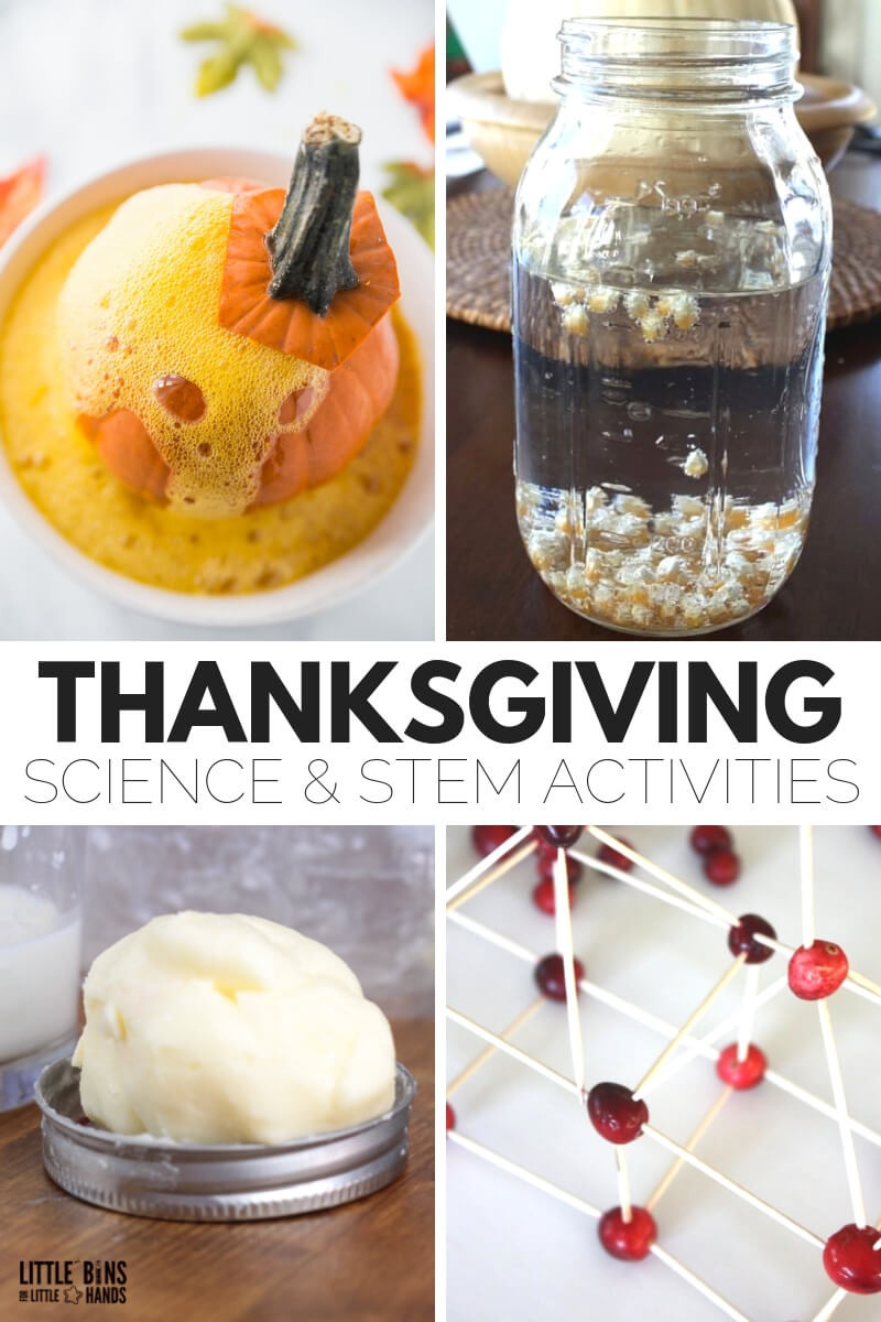 Thanksgiving Science Activities
 Thanksgiving STEM Activities