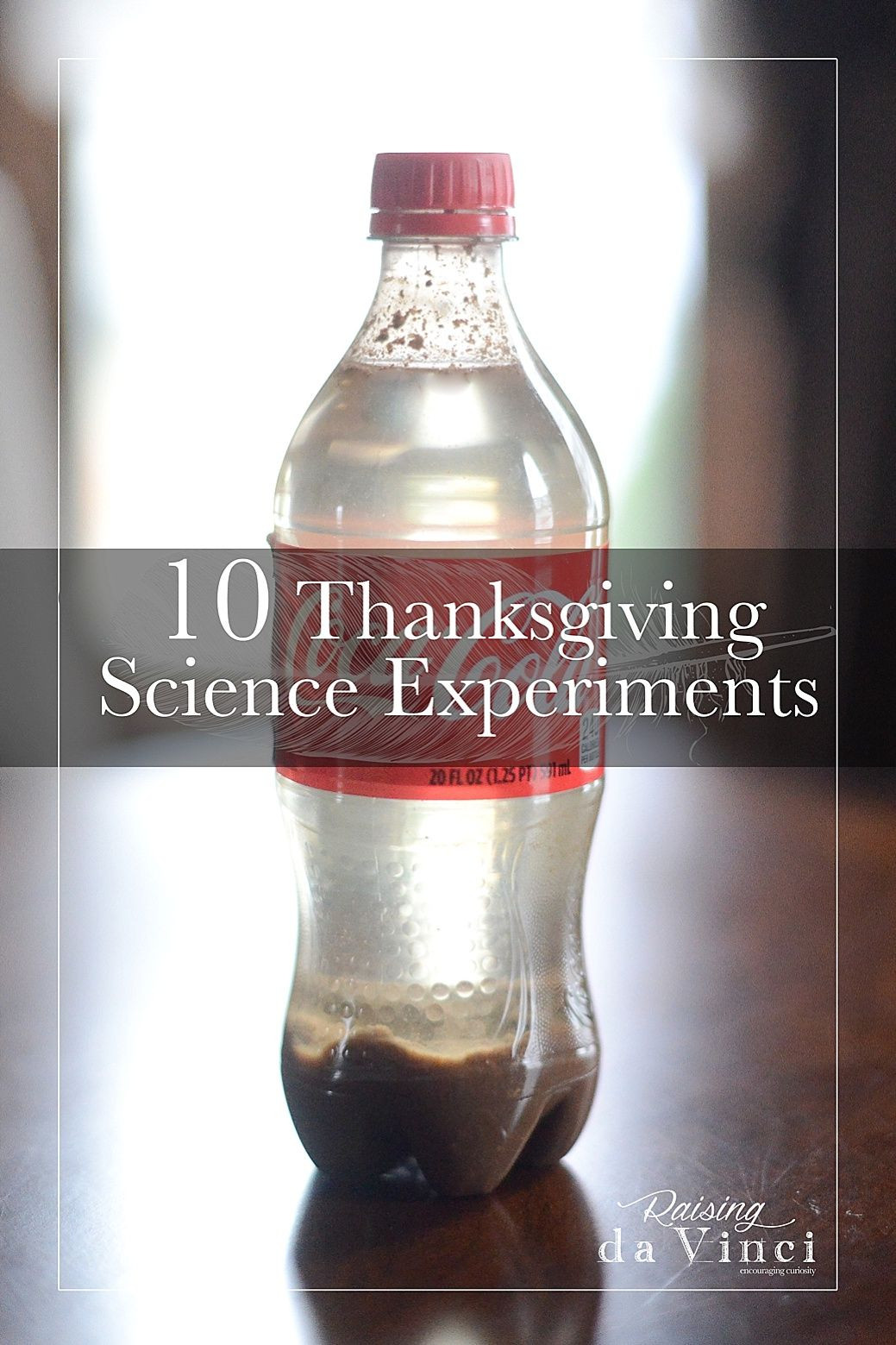 Thanksgiving Science Activities
 10 Thanksgiving Science Experiments