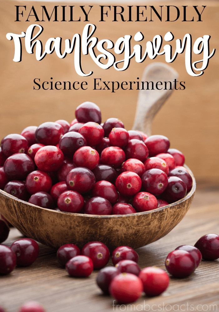 Thanksgiving Science Activities
 3 Family Friendly Thanksgiving Science Experiments
