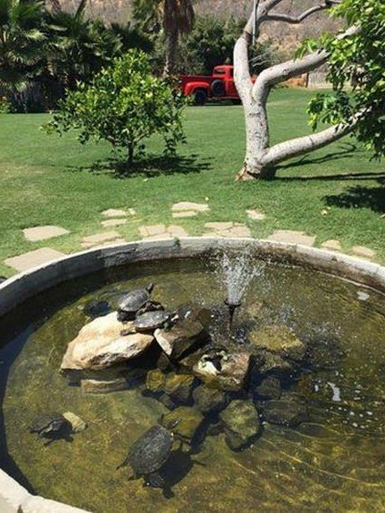 Turtle Backyard Pond
 32 Inspiring DIY Backyard Turtle Pond Designs Ideas