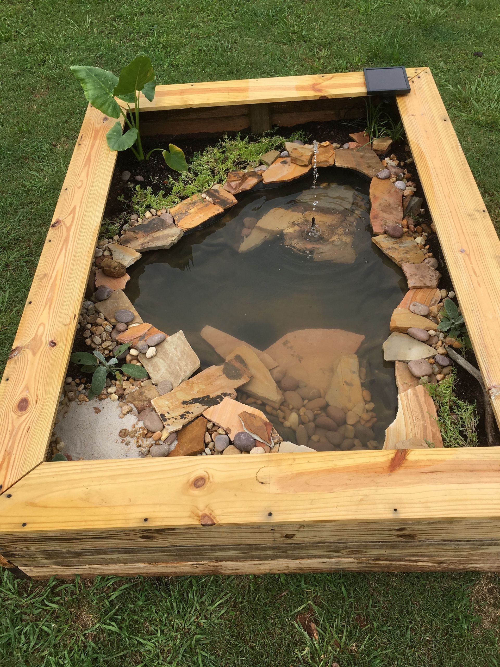 Turtle Backyard Pond
 Our new DIY above ground pond for Bella the turtle